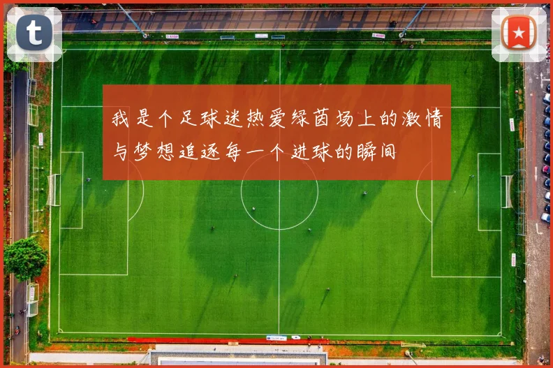 我是个足球迷热爱绿茵场上的激情与梦想追逐每一个进球的瞬间