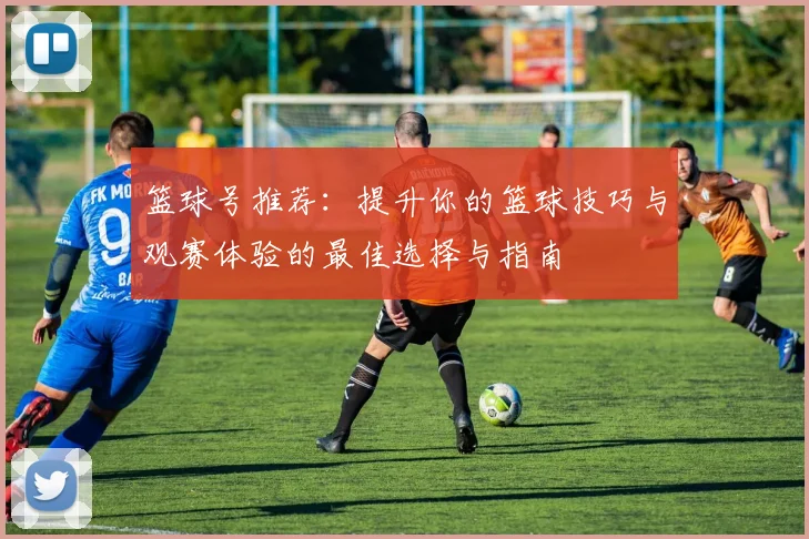篮球号推荐：提升你的篮球技巧与观赛体验的最佳选择与指南