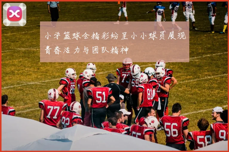 小学篮球会精彩纷呈小小球员展现青春活力与团队精神