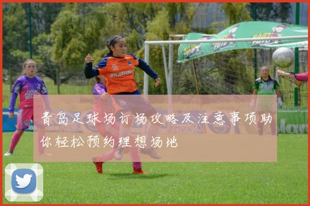 青岛足球场订场攻略及注意事项助你轻松预约理想场地