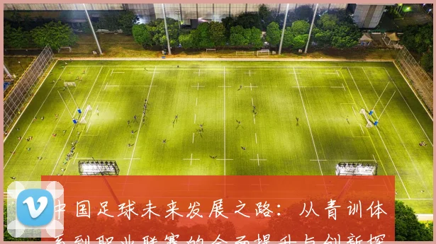 中国足球未来发展之路：从青训体系到职业联赛的全面提升与创新探讨