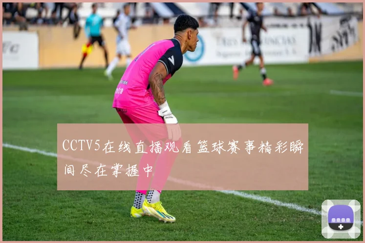 CCTV5在线直播观看篮球赛事精彩瞬间尽在掌握中