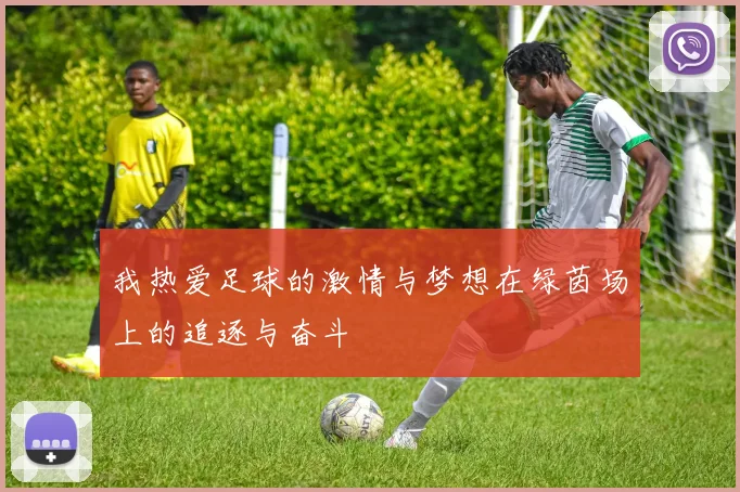 我热爱足球的激情与梦想在绿茵场上的追逐与奋斗