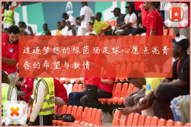 追逐梦想的绿茵场足球心愿点亮青春的希望与激情